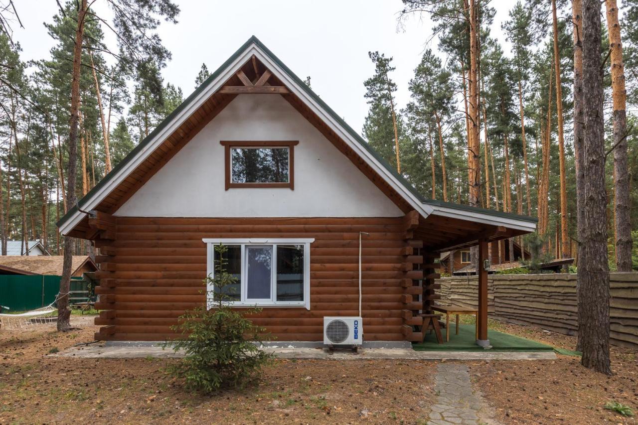 Ekodom Villa Voropayev Eksteriør billede