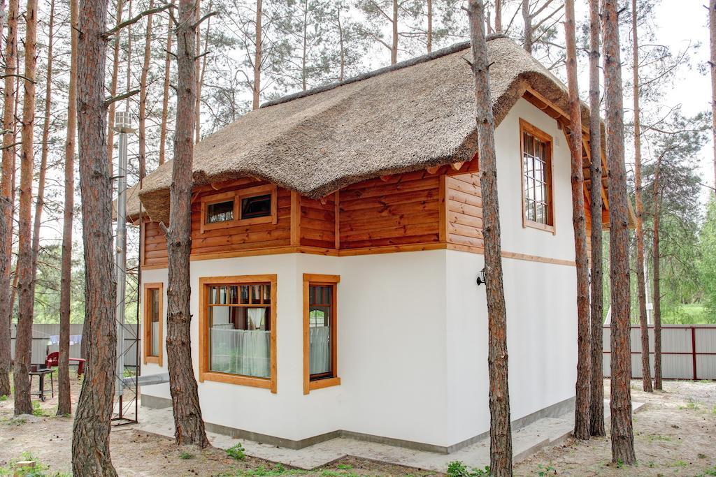 Ekodom Villa Voropayev Eksteriør billede